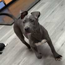 Thumbnail photo of MONSTER/ADOPTED #2