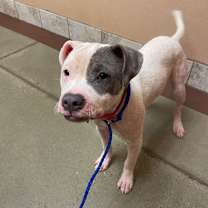 Thumbnail photo of Demi #3