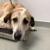 Thumbnail photo of Winnie #2