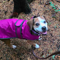 Thumbnail photo of Matilda #1