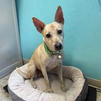 Thumbnail photo of Gucci #2