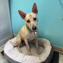 Thumbnail photo of Gucci #3