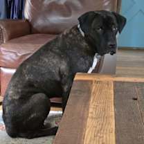 Thumbnail photo of Fernie *Courtesy Post* #2