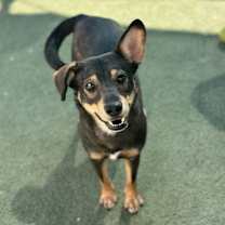 Thumbnail photo of Georgina* #4