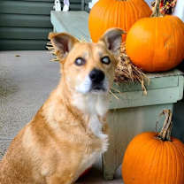 Thumbnail photo of Ray #1