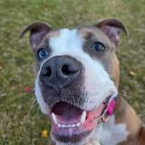 Thumbnail photo of Gabi (Gabril) #2