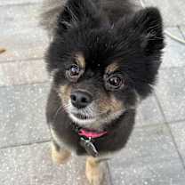 Thumbnail photo of Two Little ones!!! #2