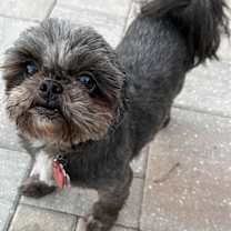 Thumbnail photo of Two Little ones!!! #3