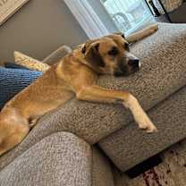 Thumbnail photo of Zuma #3