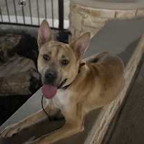 Thumbnail photo of Noah #4