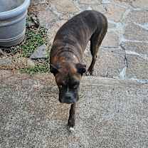 Thumbnail photo of Gabe #3