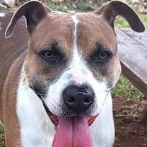 Thumbnail photo of Champion #1