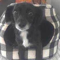 Thumbnail photo of Matilda  -  San Diego #1