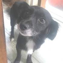 Thumbnail photo of Matilda  -  San Diego #2