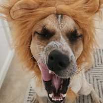 Thumbnail photo of Kamari Rose #4