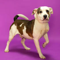 Thumbnail photo of Palmer* #1