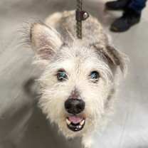 Thumbnail photo of Alpha #1