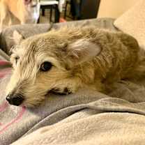 Thumbnail photo of Alpha #2