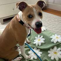 Thumbnail photo of Tiny Merv #1