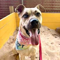 Thumbnail photo of Martin #1