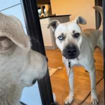 Thumbnail photo of Martin #3