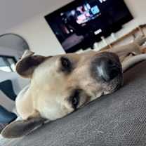 Thumbnail photo of Martin #4