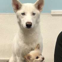 Thumbnail photo of Kallea #2