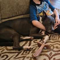 Thumbnail photo of Lacie #2