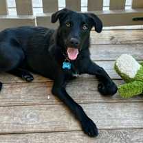 Thumbnail photo of Izabella #3