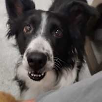 Thumbnail photo of Hilda (Hildie) #2