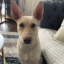 Thumbnail photo of Sigrit #1