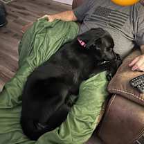 Thumbnail photo of Macie #3