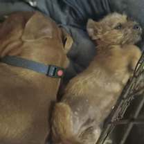 Thumbnail photo of Jerry #3