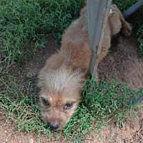 Thumbnail photo of Jerry #1