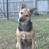 Thumbnail photo of Kilo #3