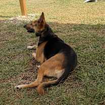 Thumbnail photo of Kilo #2