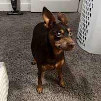 Thumbnail photo of James #2