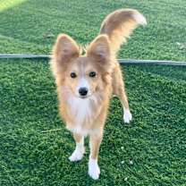 Thumbnail photo of Luna #1