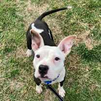 Thumbnail photo of Jasmine #2