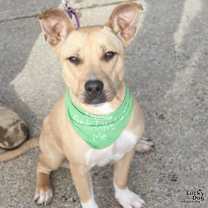 Thumbnail photo of Cameo #1