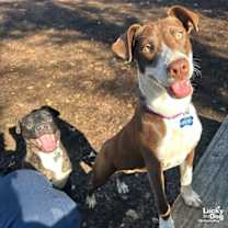 Thumbnail photo of Brittany #2