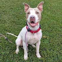 Thumbnail photo of McGuire  #1