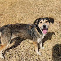 Thumbnail photo of Helene JuM #2