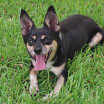 Thumbnail photo of Tito  #4