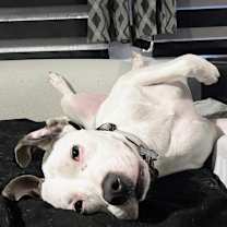 Thumbnail photo of Waffle #2