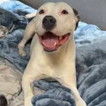 Thumbnail photo of Waffle #3