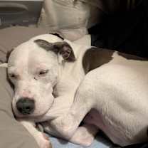 Thumbnail photo of Waffle #4