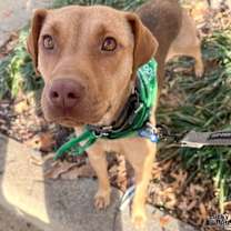 Thumbnail photo of Kindness #2