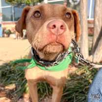 Thumbnail photo of Kindness #3