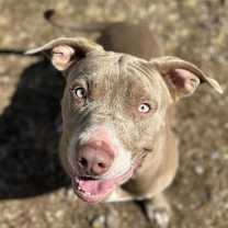 Thumbnail photo of Champ #2